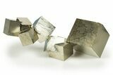 Shiny, Natural Pyrite Cube Cluster - Navajun, Spain #305231-1